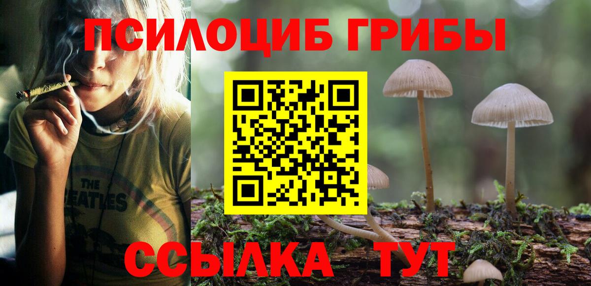 Галлюциногенные грибы GOLDEN TEACHER  Вход с VPN  Калининград  Галлюциногенные грибы Cubensis 
